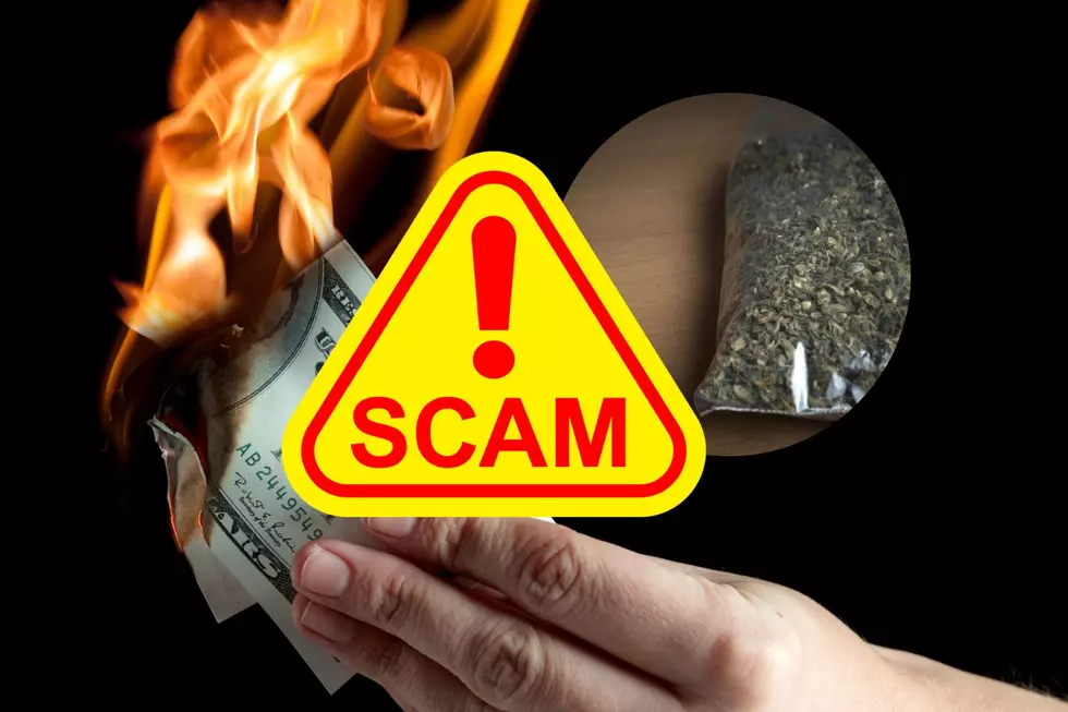 Maine Marijuana Scams Could Cause Victims Money to Go Up In Smoke