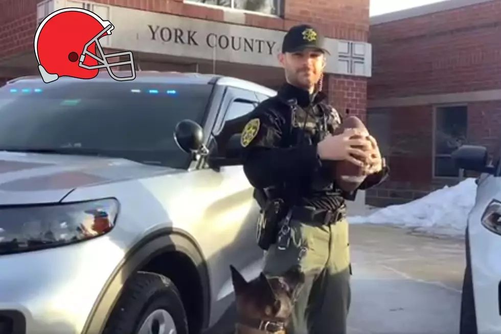 Maine Deputy’s K9 is Adorable in Super Bowl Driving Safety Video