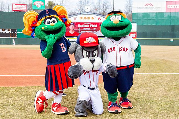 A New Boston Red Sox Mascot Will Tag Along With Wally The Green