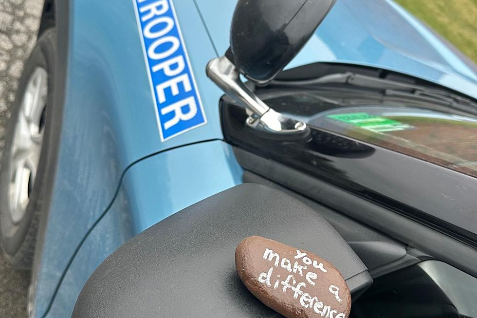 Cleverly Placed Rock on Squad Car Makes A Big Impact