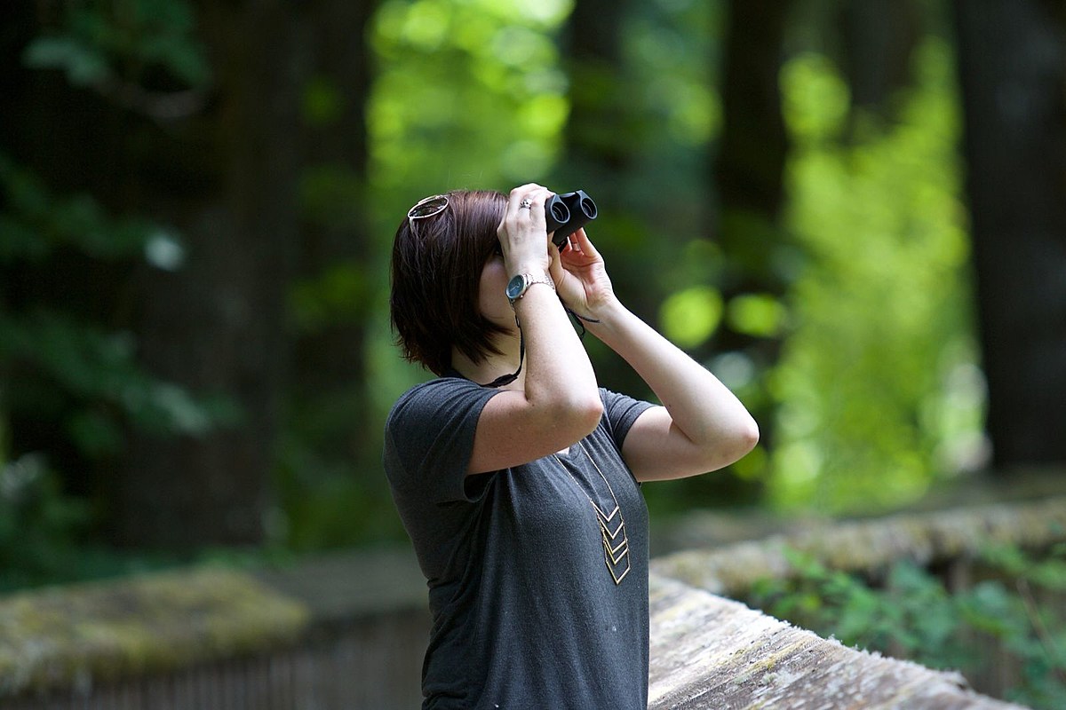 Connect With Nature: Check Out These Bangor Area Bird Walks