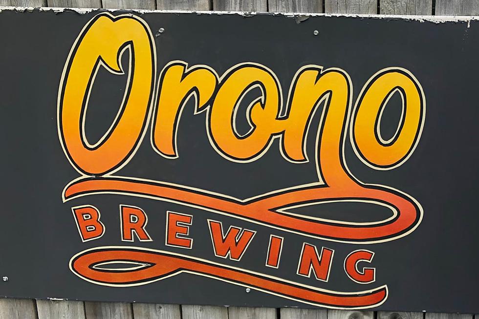 Unwind with Beers and Yoga at Orono Brewing Company