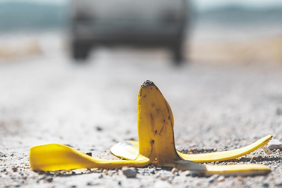 No, You Shouldn’t Throw Banana Peels Out Your Car Windows in Maine