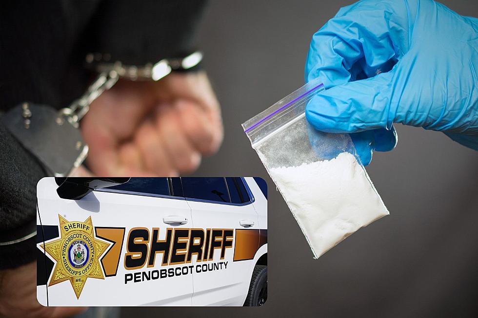 Hampden Drug Busts Nets Dangerous Drugs and 2 Arrests
