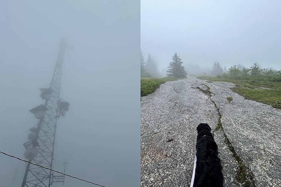 Foggy Maine Hikes Can Be Uniquely Beautiful, but Just Be Careful