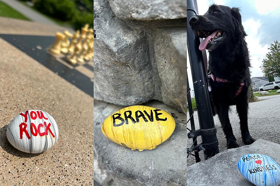 Have You Seen These Uplifting Rocks on the Brewer Riverwalk?