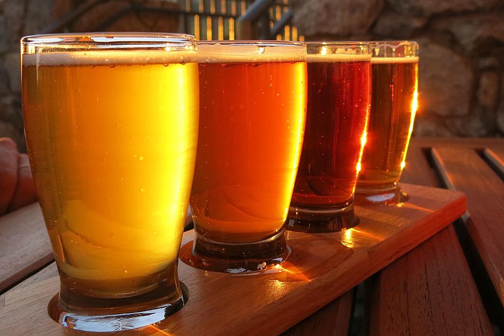 Cheers to 40 Years of Craft Beer in Maine: Who Has the Best?