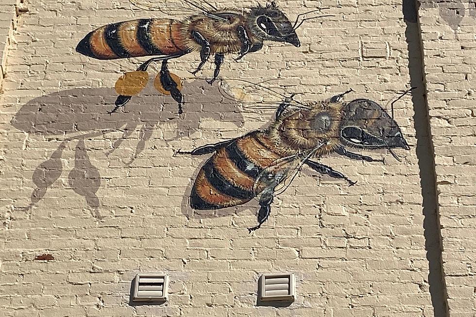 Bangor Good of the Hive 3 Story Mural is Complete  [PHOTOS]