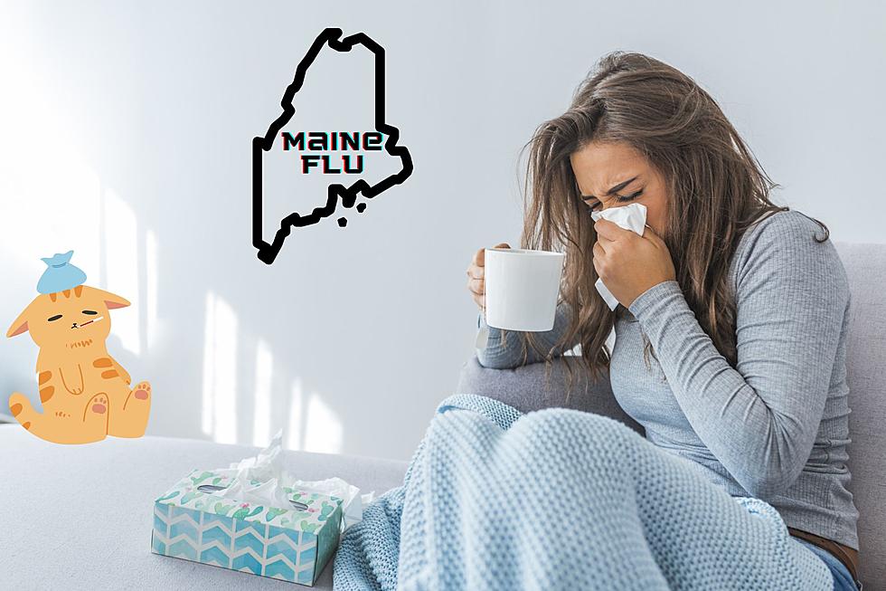 Fabulous Flu Facts, From Stats to Shots, on the Maine Flu Website