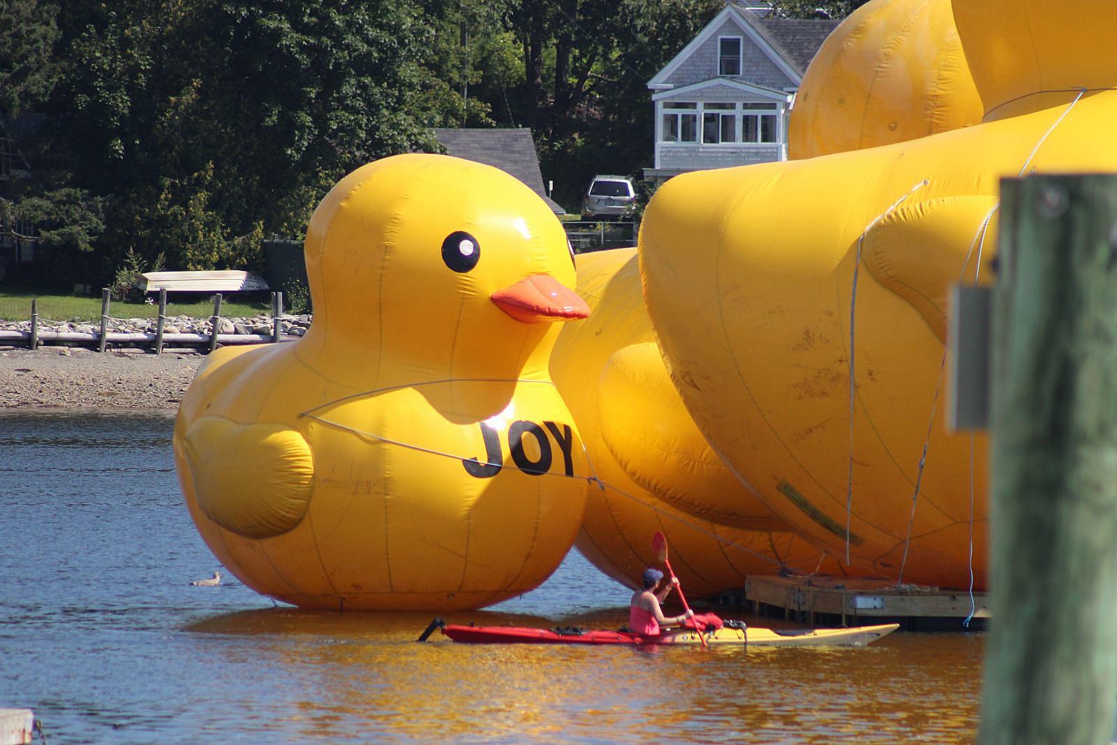 78 Duck Carnival Game Stock Photos, High-Res Pictures, and Images - Getty  Images