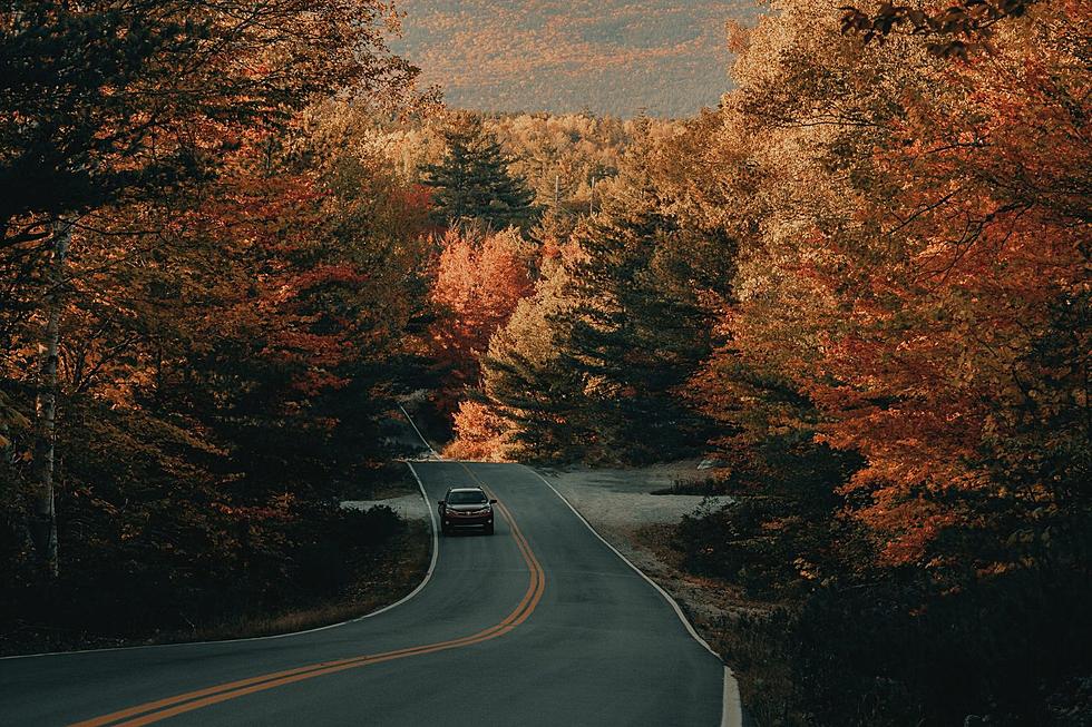 Ready for Fall? Leaves Have Started Changing Color in Maine