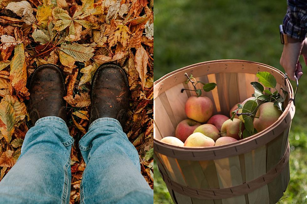 What Are Mainers Most Looking Forward to This Fall?