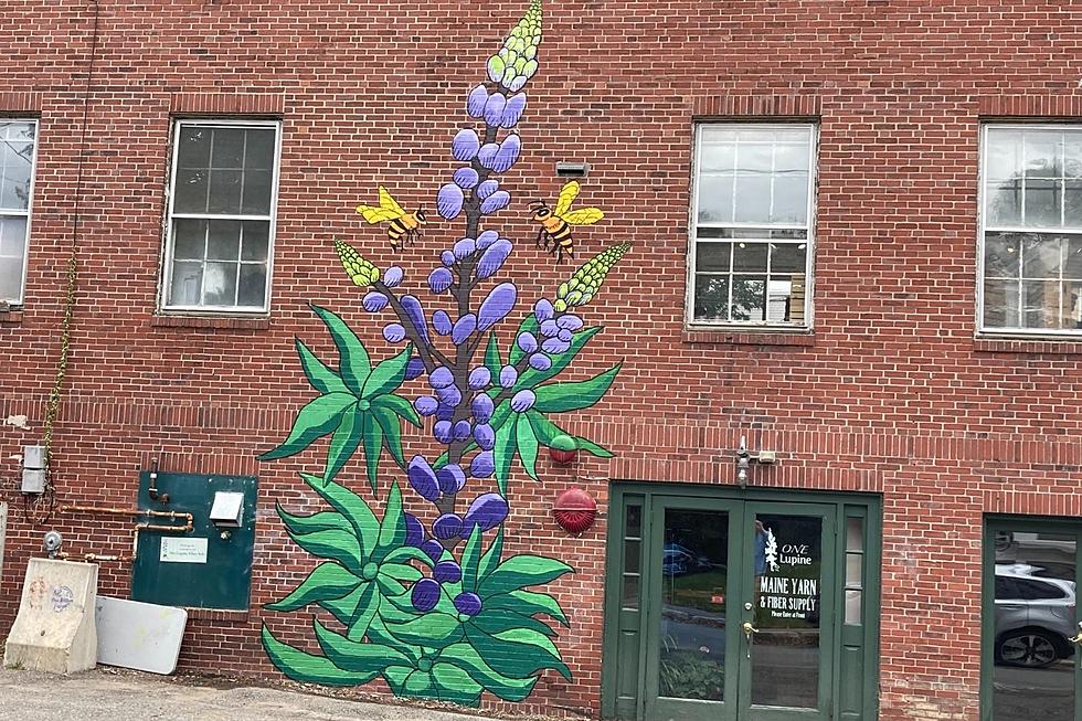 The Story Behind the Latest Art Mural in Bangor