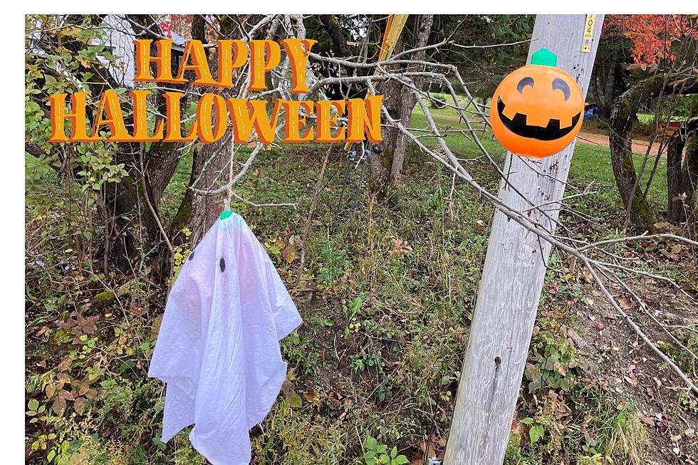 One Maine Town Has Pumpkins and Ghosts Mysteriously Hung in Trees