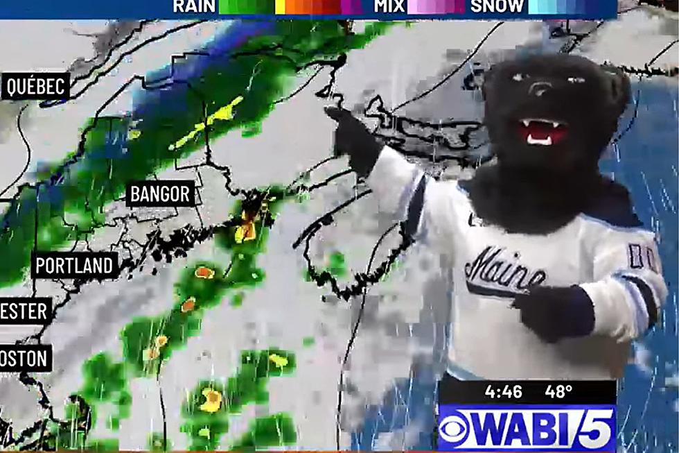 University of Maine Mascot, Bananas T. Bear, Delivers Weather Forecast on WABI TV5