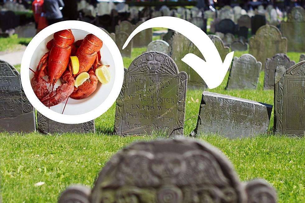 What’s the Typical Lifespan of a Maine Lobster?