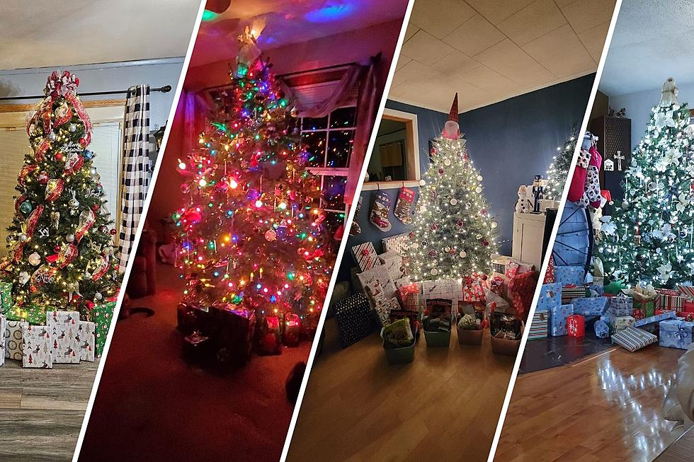 Folks in Maine Show Off Their Beautiful Trees on Christmas Morning [PHOTOS]