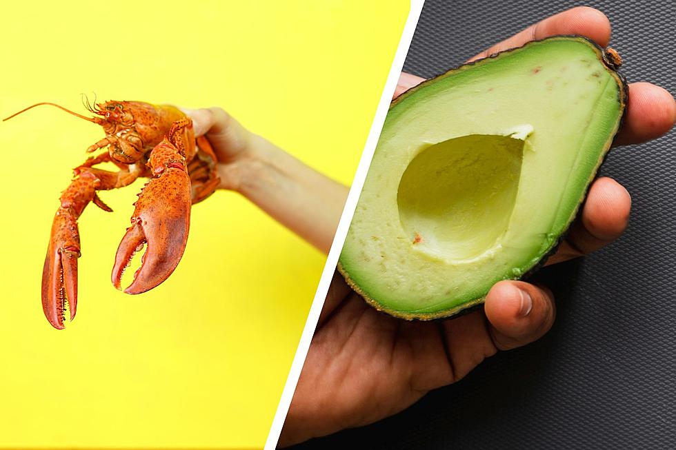 Avocado on Your Maine Lobster Roll? Are We Cool With This?