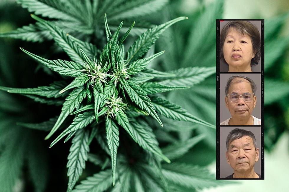 3 Arrested in the Raid of a Huge Illegal Marijuana Grow in Maine