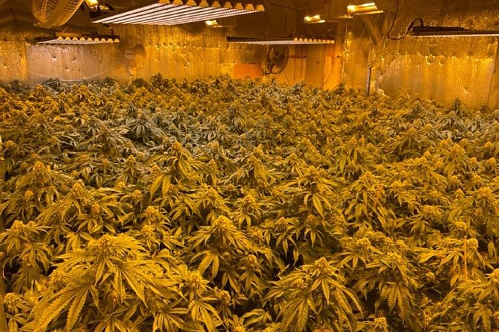 Madison, the Site of the Latest Raid on an Illegal Marijuana Grow