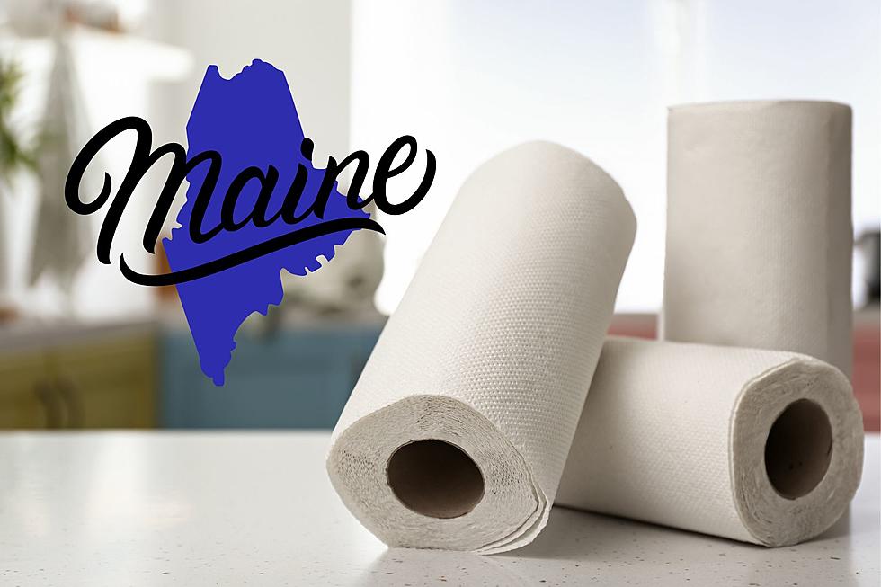 Why Every Mainer Should Keep Paper Towels in Their Fridge