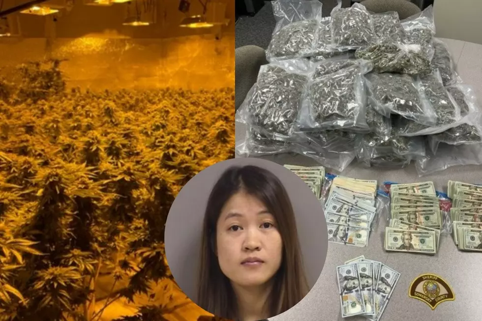 Woman Faces Drug Charges After Maine Officials Raid Grow Houses
