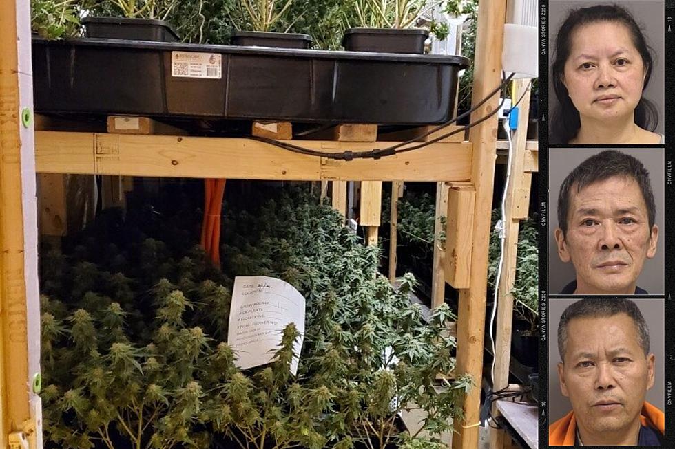 3 Face Drug Charges in Maine at Latest Illegal Pot Grow Site