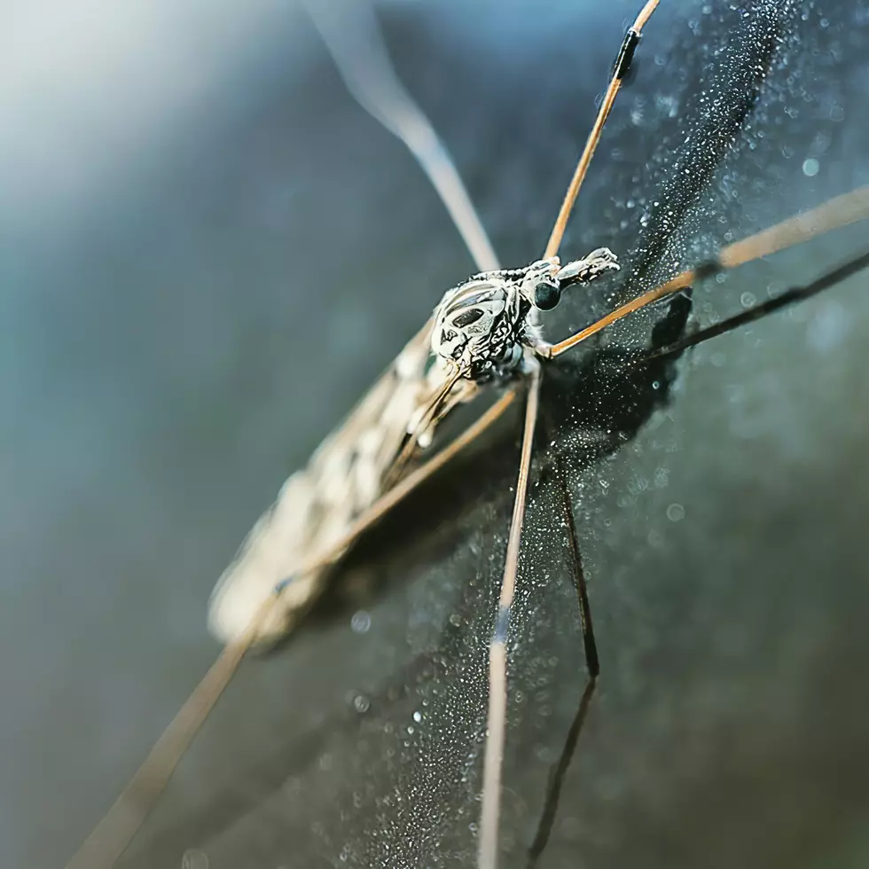 Photo by Fas Khan on Unsplash