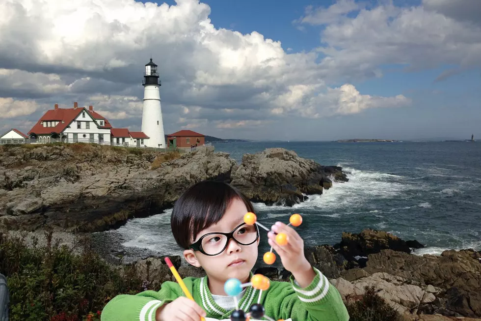 5 Amazing Things I’ve Learned About Maine, So Far