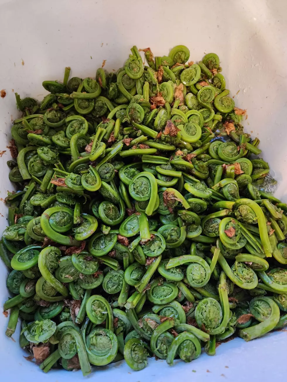 The Simplest, Most Delicious Way to Cook Maine Fiddleheads