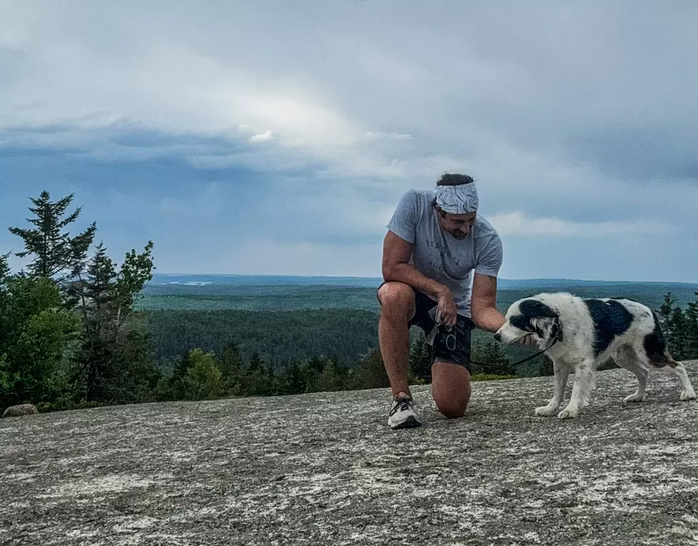Reviewing Hiking Trails of Maine: Great Pond Mountain