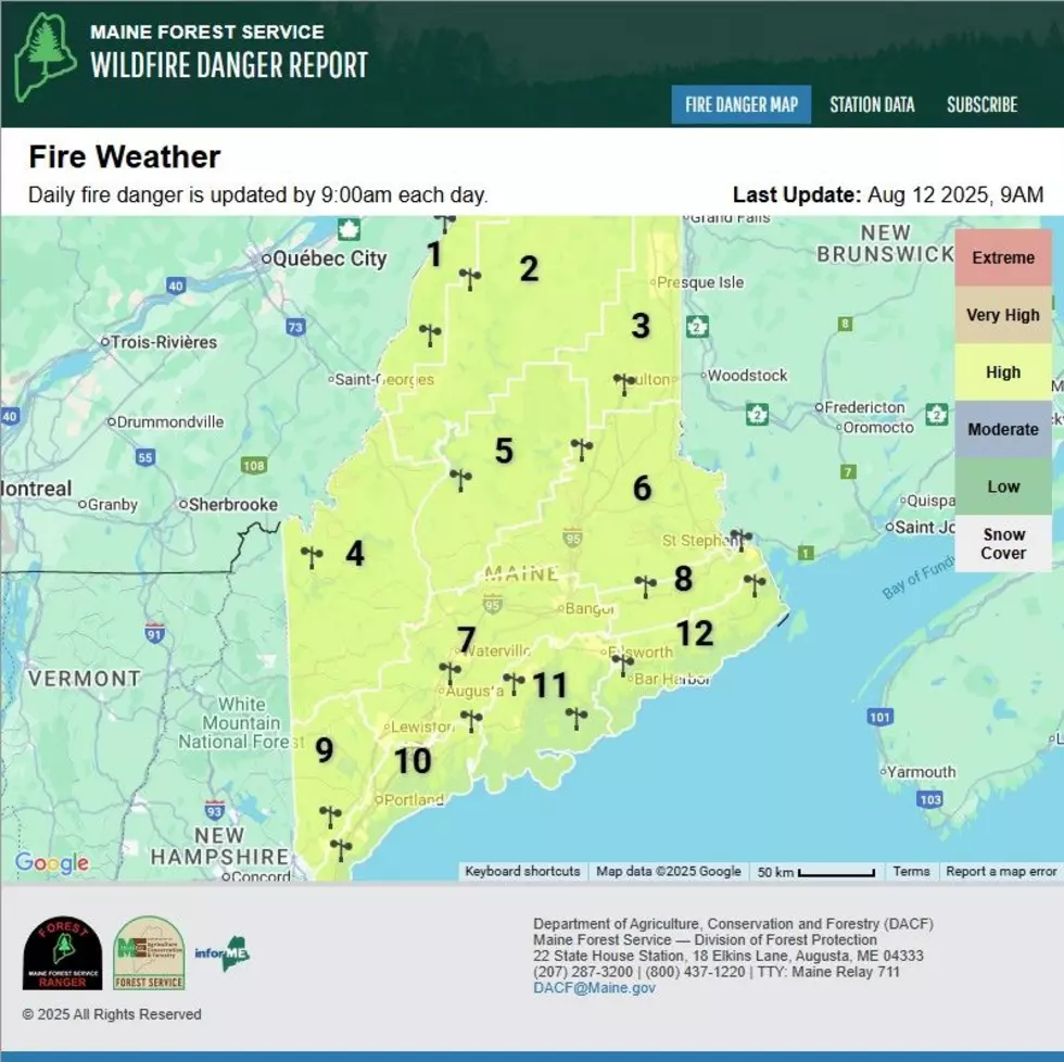 maine.gov