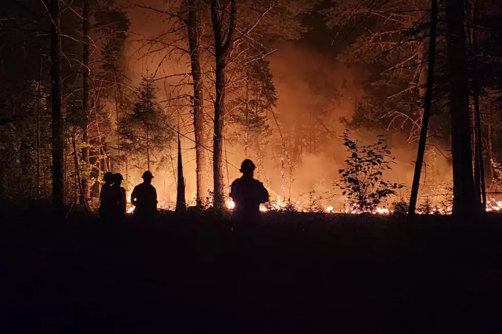 Maine Forest Rangers via Facebook