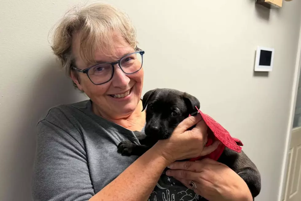 Maine Puppy Finds a Happy Home After Being Abandoned in Hampden