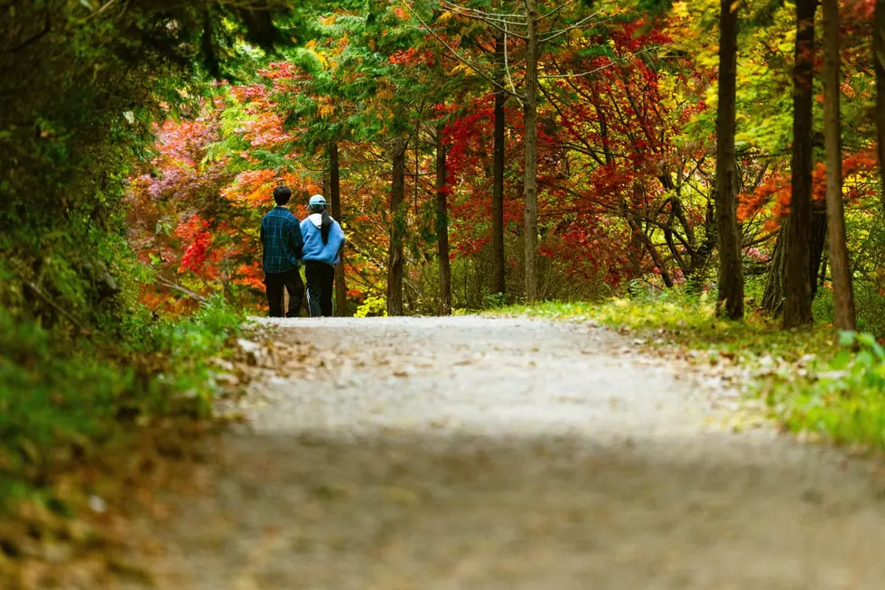 Beautiful Walk Through Bangor, Maine Forest to Benefit Cancer Research