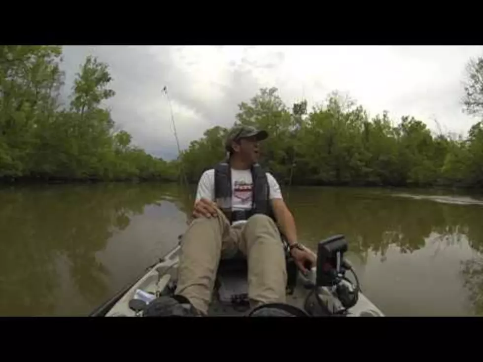 Fisherman Reels In Fish, Gets Huge Gator Instead [VIDEO]