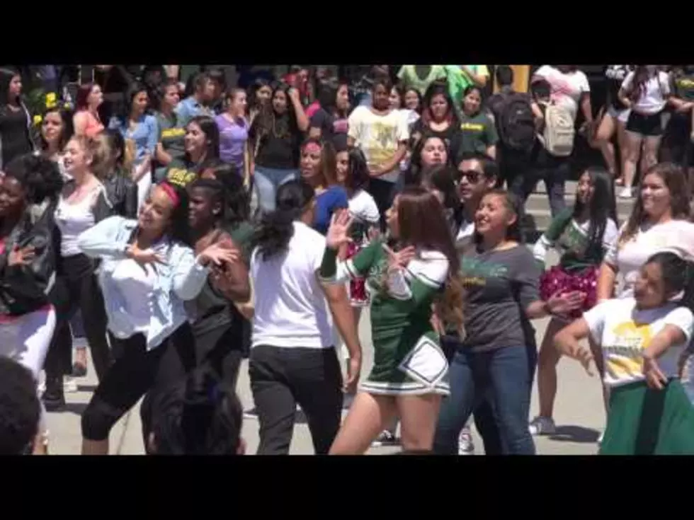 The Best Of Class of 2016 Graduation Flash Mobs [VIDEO]
