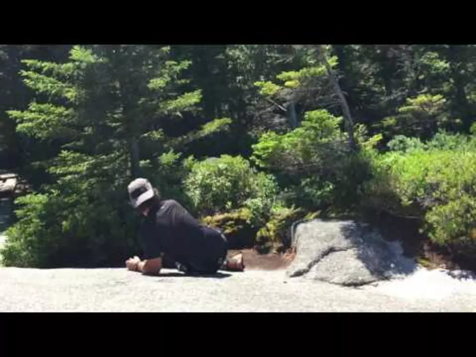 Watch Man&#8217;s Encounter With Mama And Baby Moose At Baxter State Park [VIDEO]