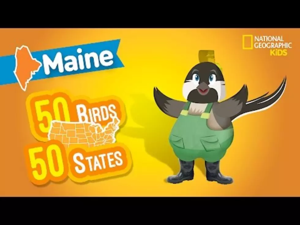 Watch The National Geographic Kids Rap Video About Maine [VIDEO]