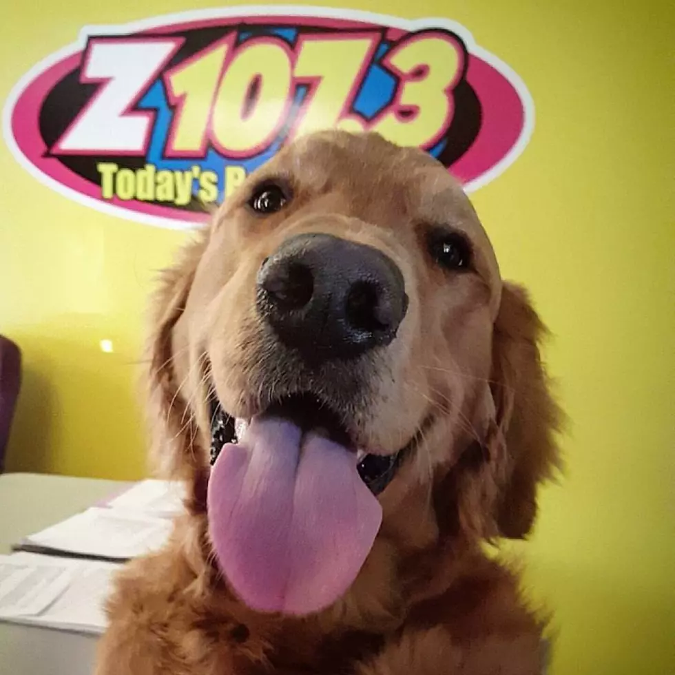 Thursdays With Wrigley In The Z Studio [VIDEO]