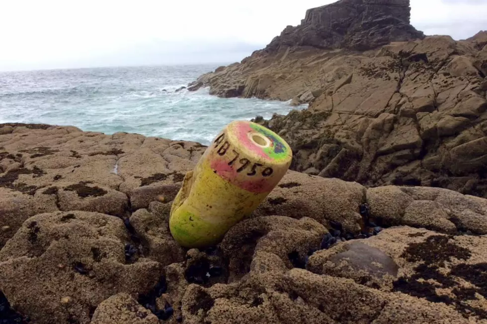 Maine Lobster Buoy Found in France [PHOTO]