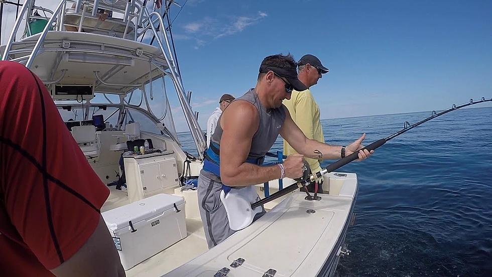 Watch This Amazing Maine Shark Fishing Video [VIDEO]