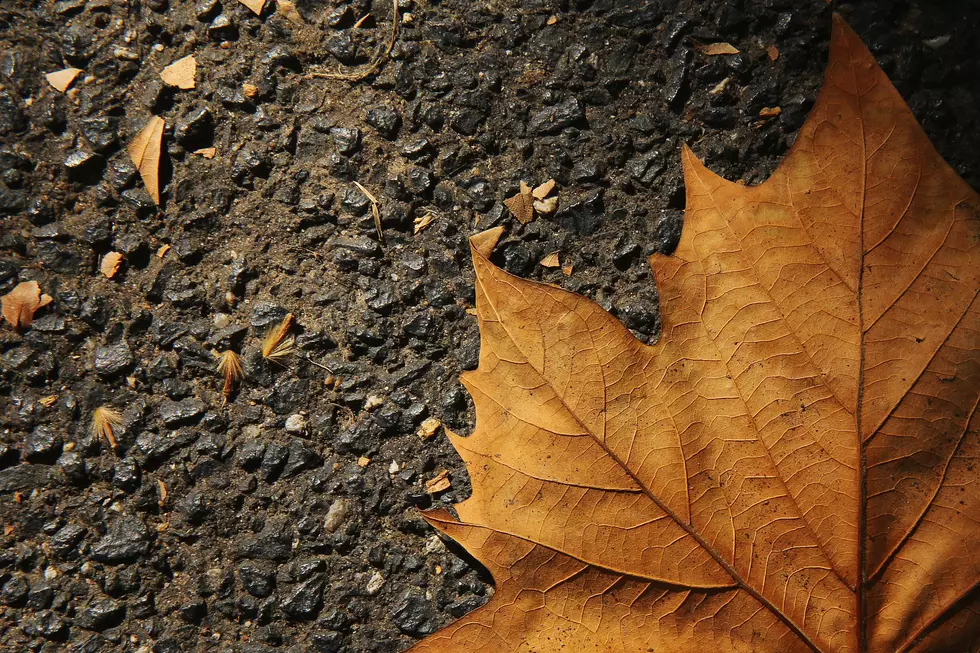 Yes, Fried Maple Leaves Are Apparently A Thing