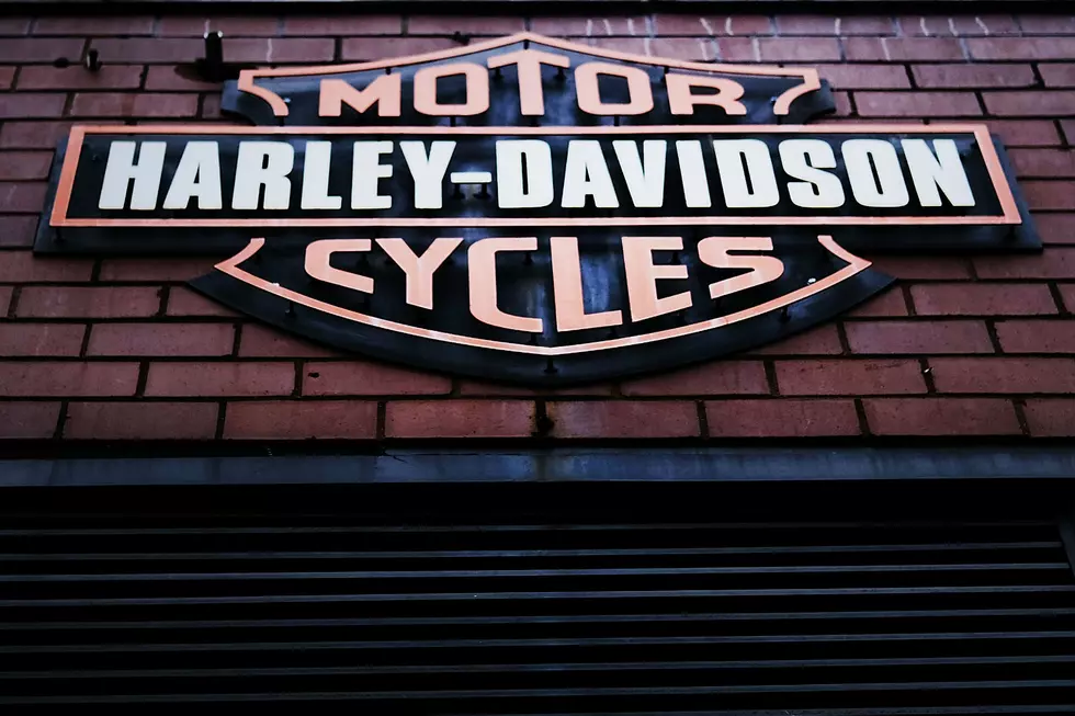 Harley Davidson is Looking to Hire Adventurers [VIDEO]