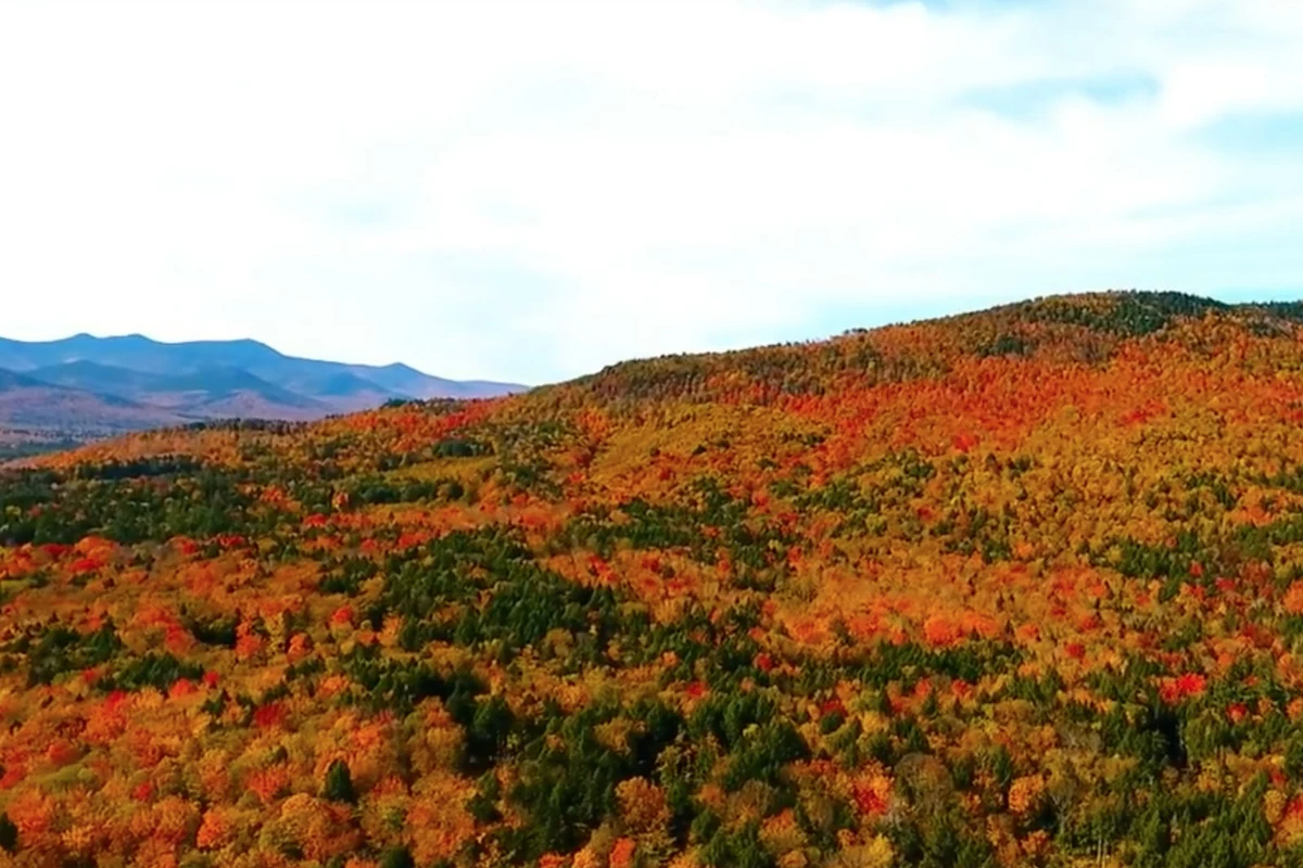Maine Fall Foliage This Week