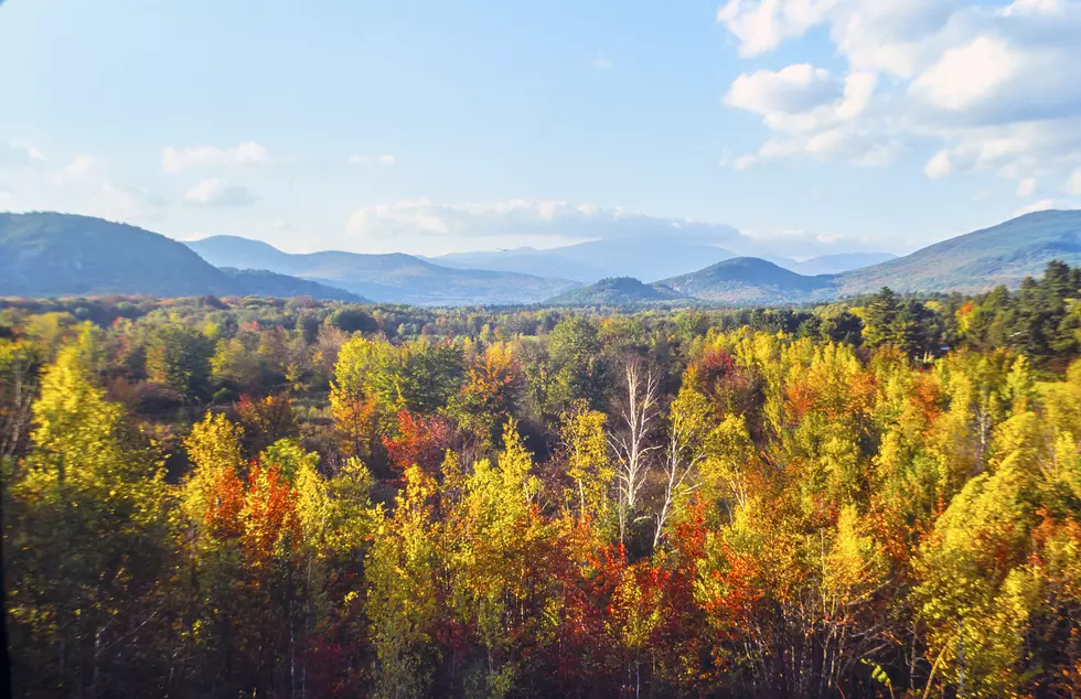 Maine Fall Foliage Report for This Week: October 7th