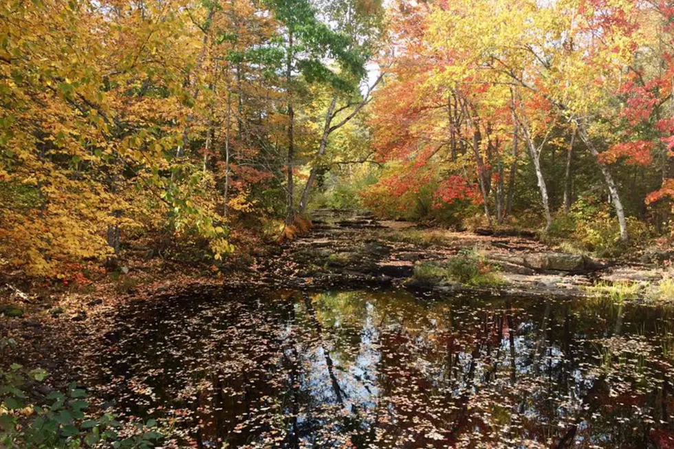 Fall In Maine: Mother Nature&#8217;s Apology For Mud Season + Snow