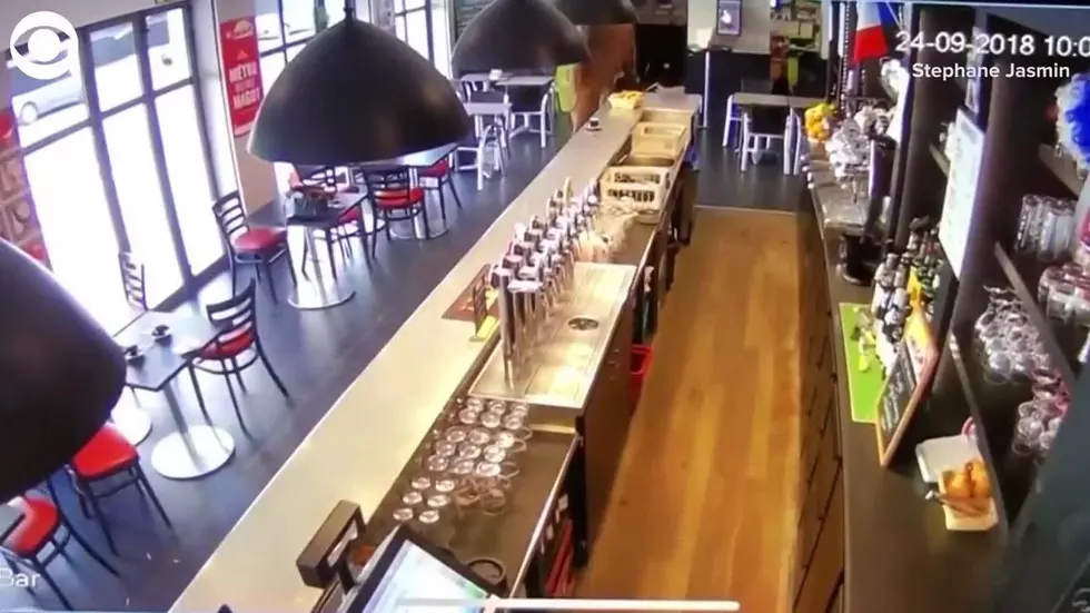 So A Horse Walks Into A Bar&#8230;Literally [VIDEO]