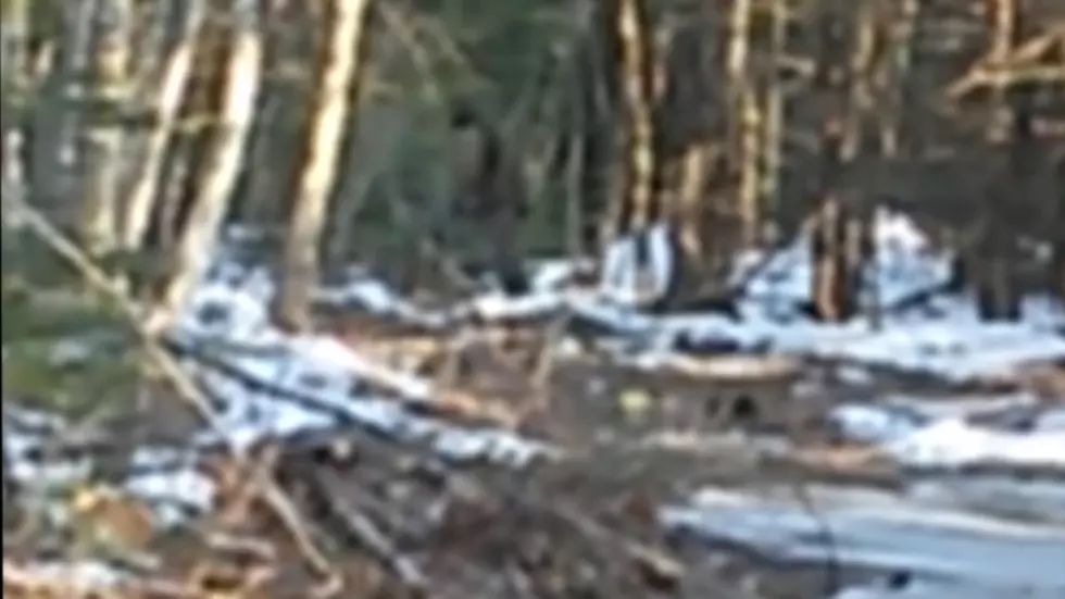 A Bigfoot In Maine Sighting Is So Bad It&#8217;s &#8230; Bad