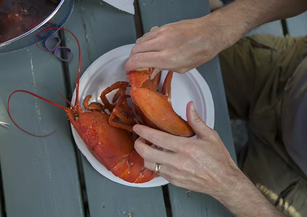 New Website Showcases Maine Outdoor Dining Locations